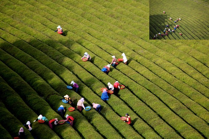 10 Put up-Processing Suggestions for Higher Journey Photographs
