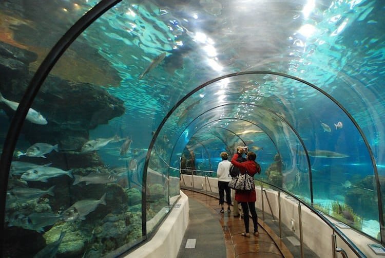 Absolute Greatest 10 Issues to do in Barcelona for Children!