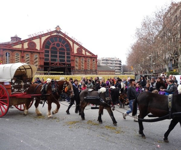 The Tres Tombs Parade in Barcelona