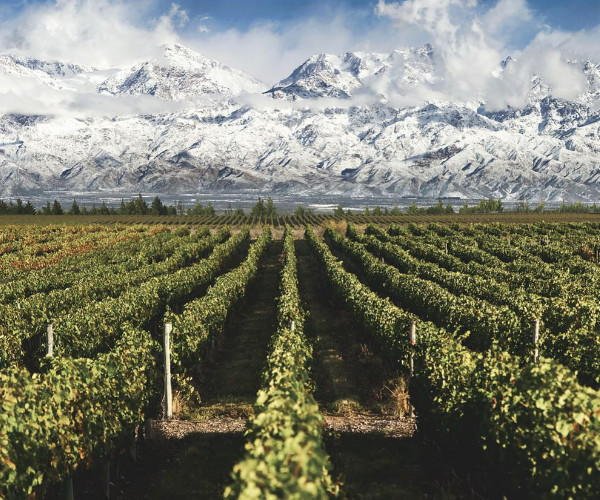 5 of South America’s headiest wine excursions