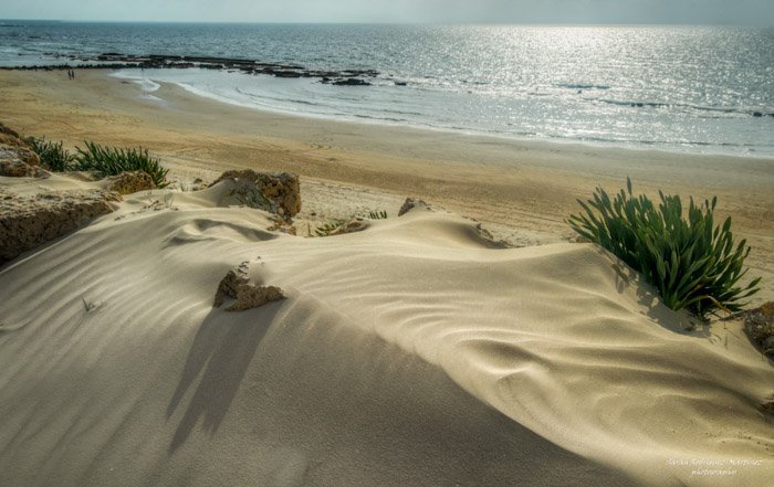12 Tips for Beautiful Beach Photography