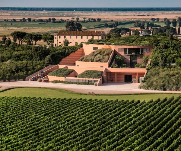 Top 13 design wineries in Tuscany: A fusion of art and taste