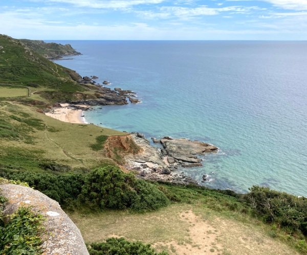 Native foods and drinks producers to look out for in your subsequent journey to Devon