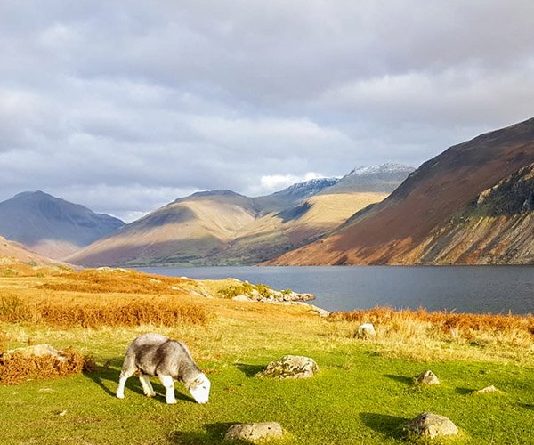 New yr, new you? Make your New Yr resolutions occur by visiting the Lake District