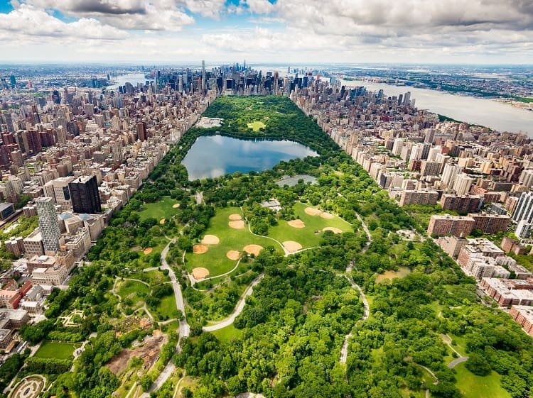 Top 5 Best Things To Do In NYC With Kids