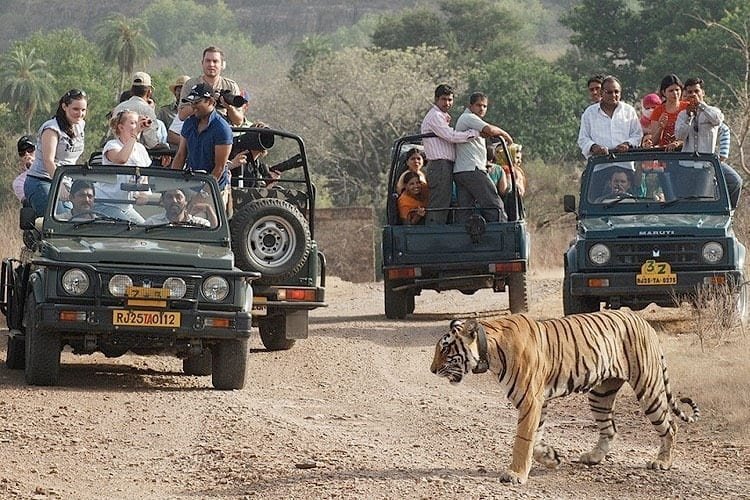 5 Absolute Best Family-Friendly Places To Visit In India!